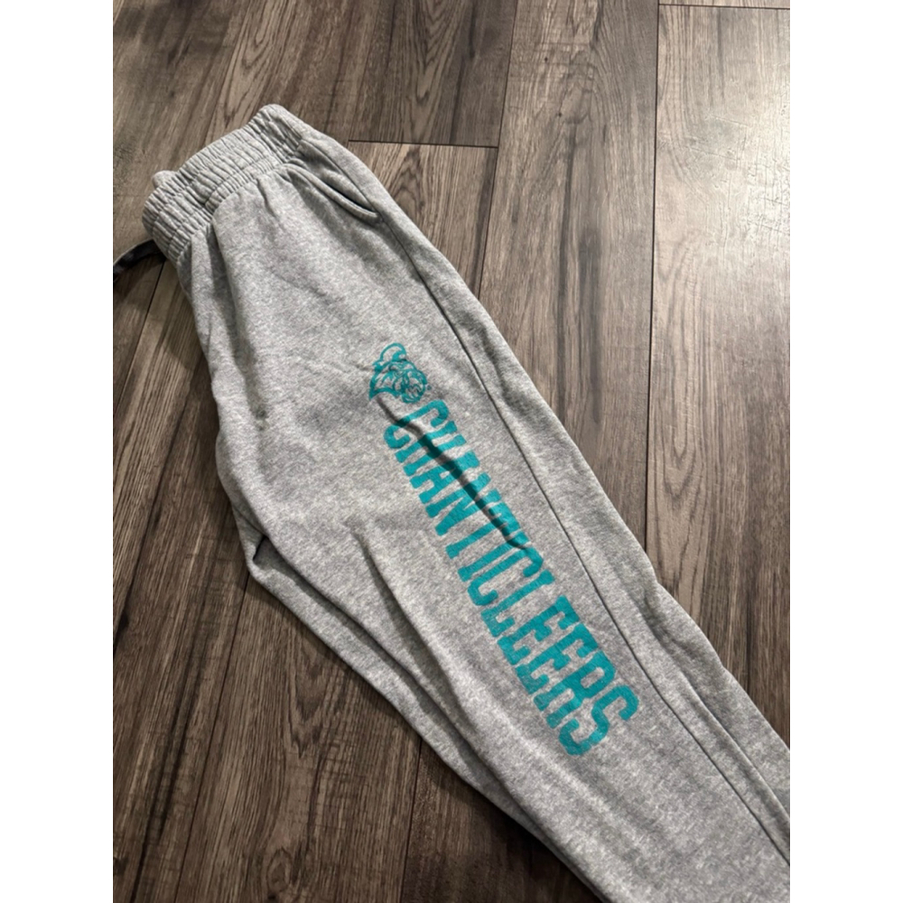 Chanticleers Coastal Carolina University Champion Jogger Sweats - Medium $58